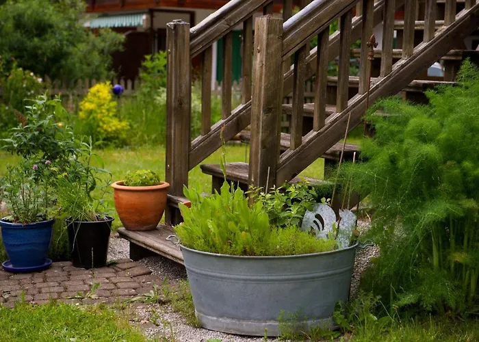 公寓 Rosa 2 & 5 福森